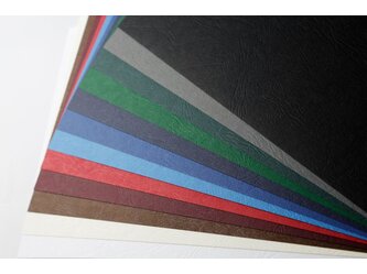 colorstyle_leather