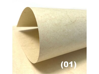 EFH110_700X1000_01