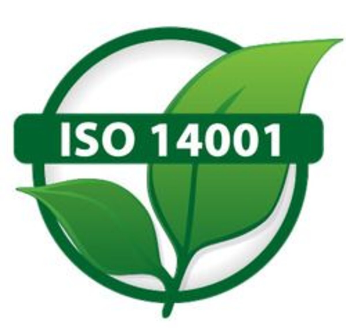 iso (1)